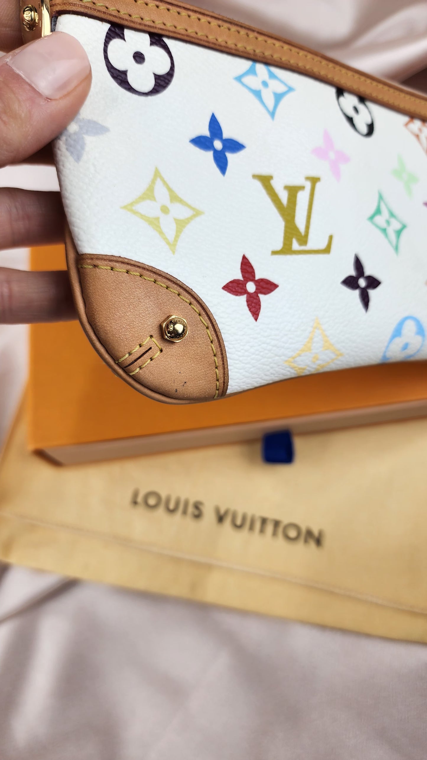 Louis Vuitton Multicolor Pochette Mira MM Pouch